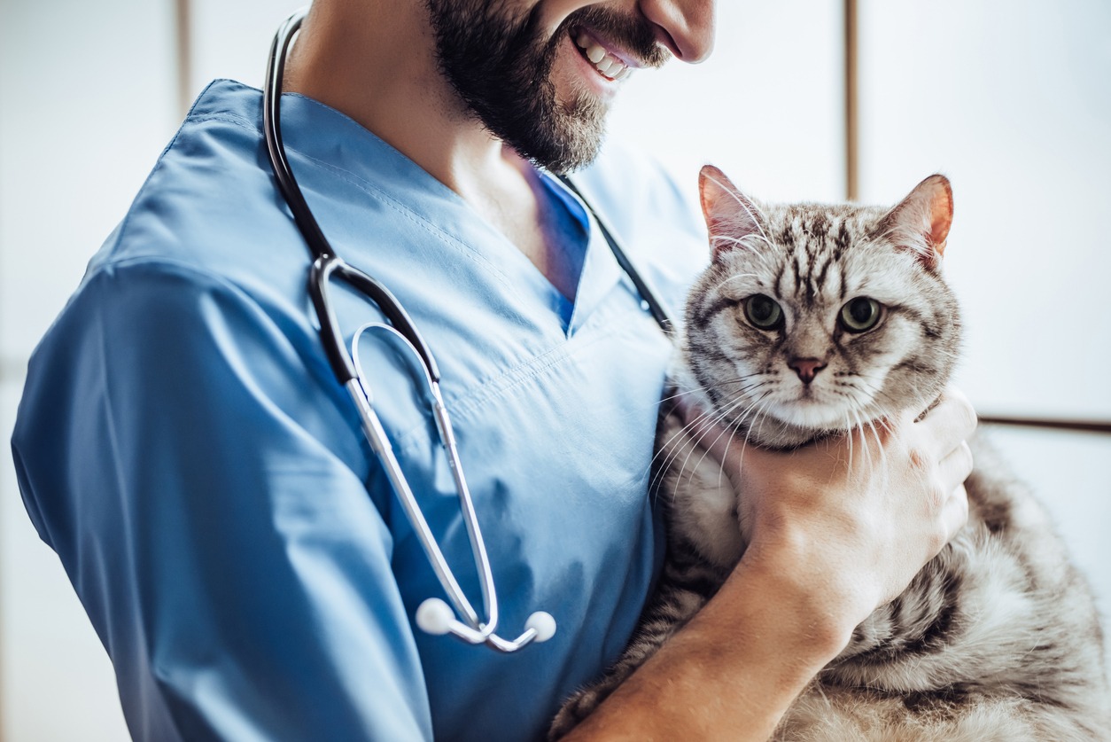 A smiling veterinarian holding a cat