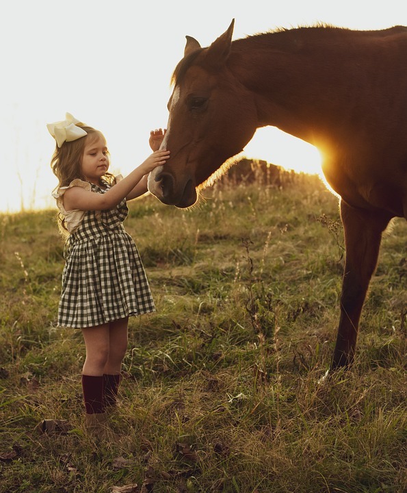 Field Girl Ranch Horse Dress Farm Child Sunset