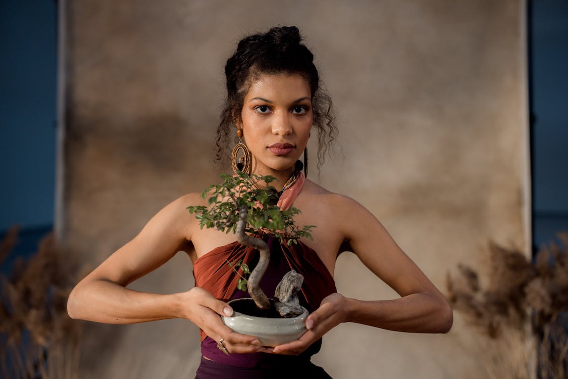 Woman holding bonsai plant