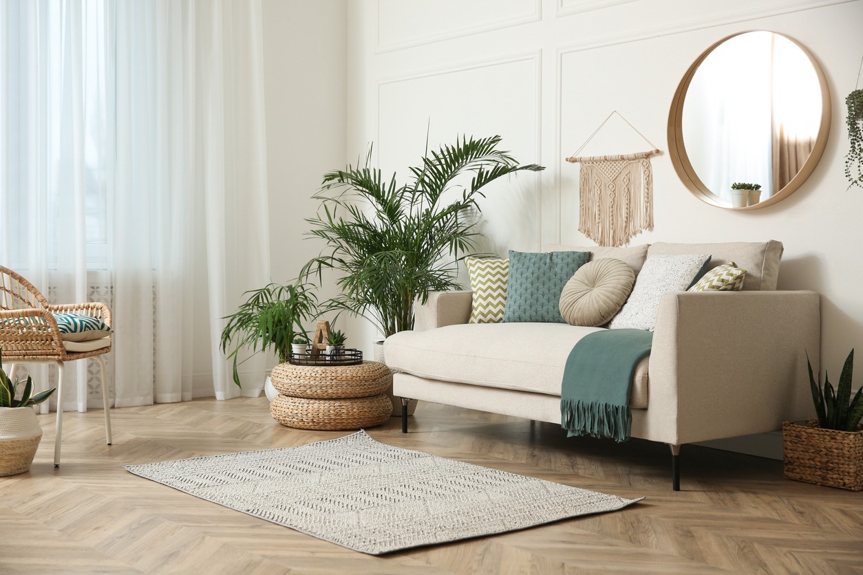 A-rug-on-the-living-room-floor