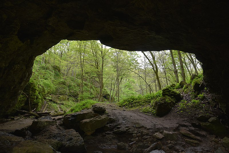 A-cave-at-the-Maquoketa-Caves-State-Park