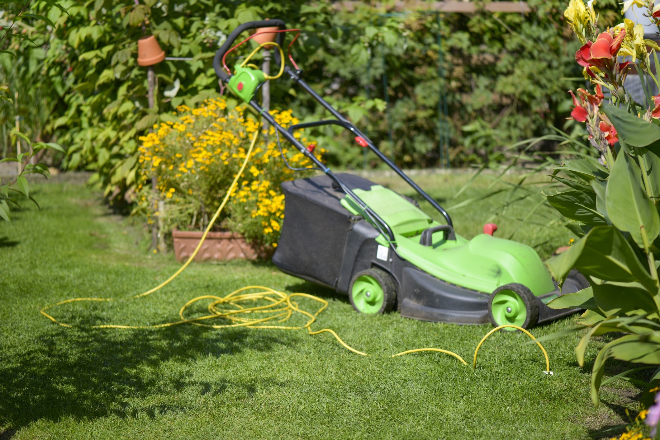 Lawnmower-in-the-garden-Electrically-driven-via-the-underground-cable