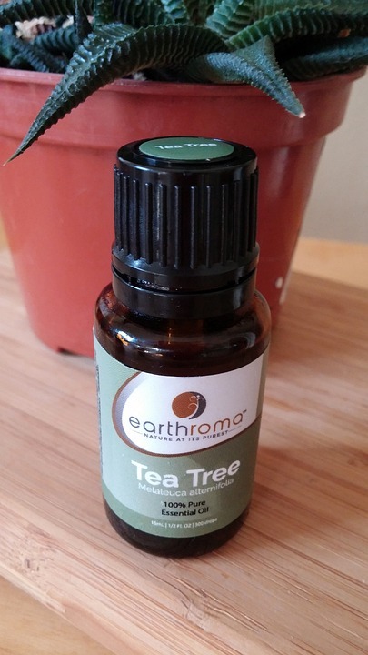a-bottle-of-pure-tea-tree-oil