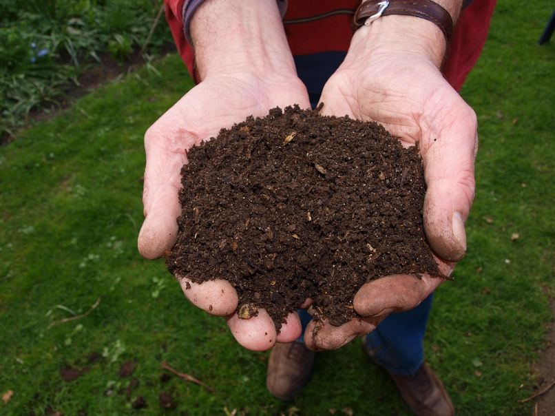 compost-and-soil