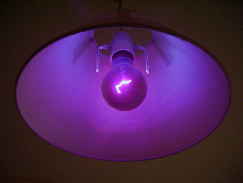 Ultraviolet-light-bulb