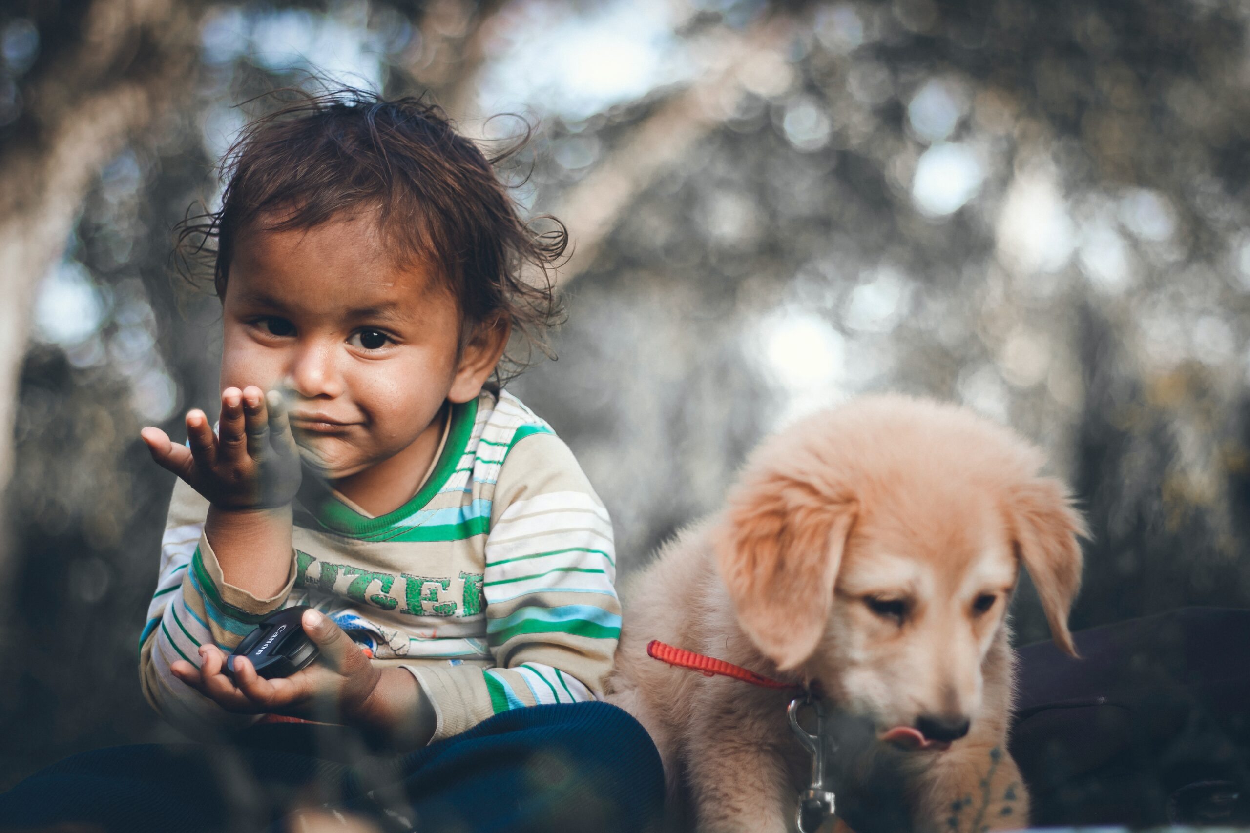 How Can Owning a Dog Benefit Your Kid