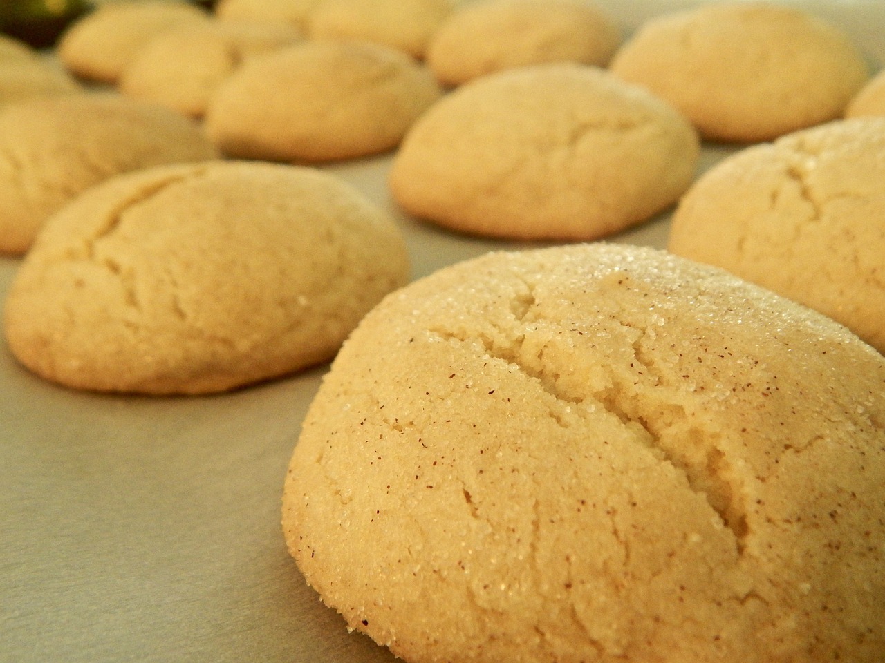 a close-up of freshly baked snickerdoodles