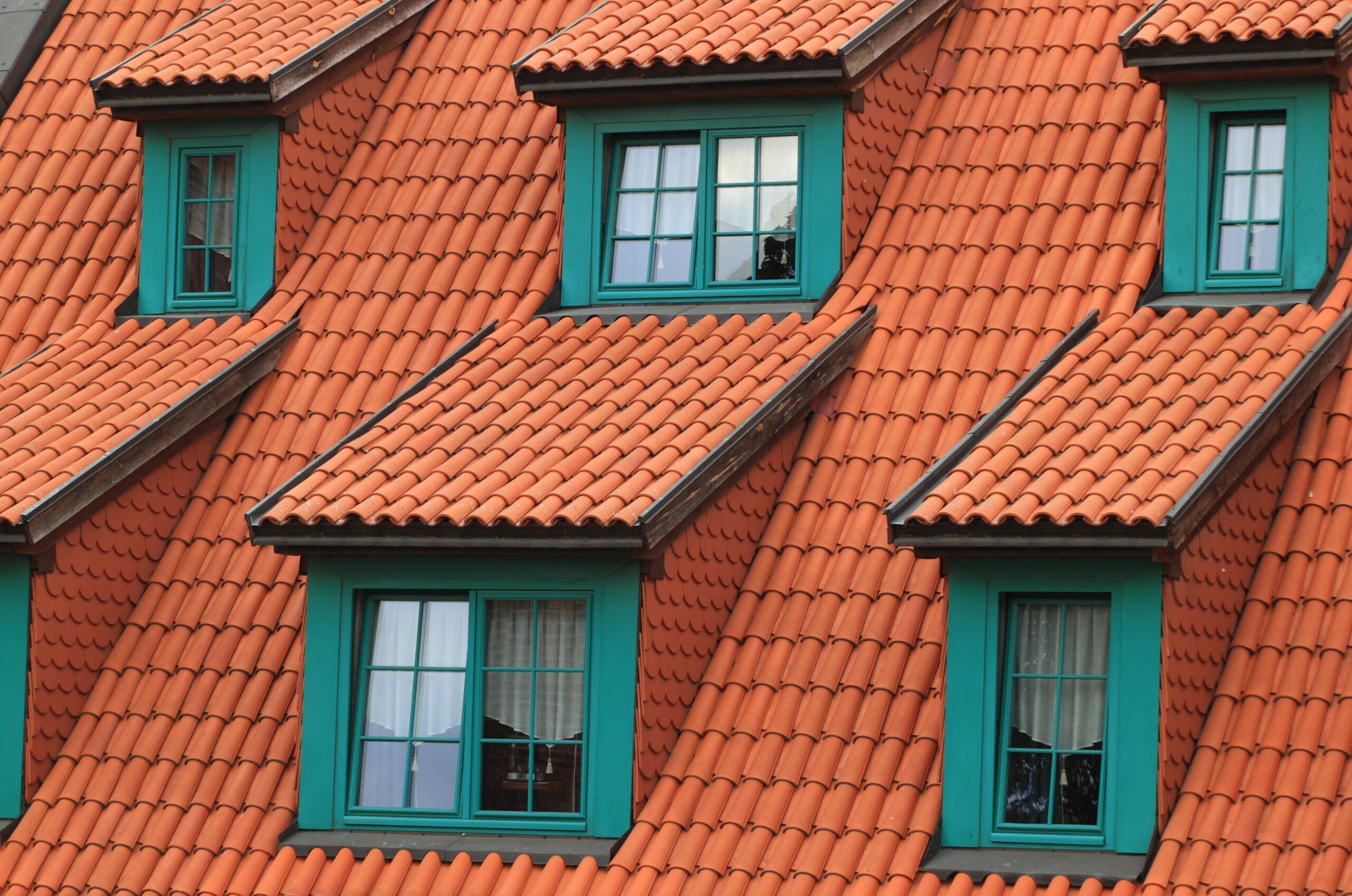 Common Roofing Problems When to Call for Professional Roofing Services