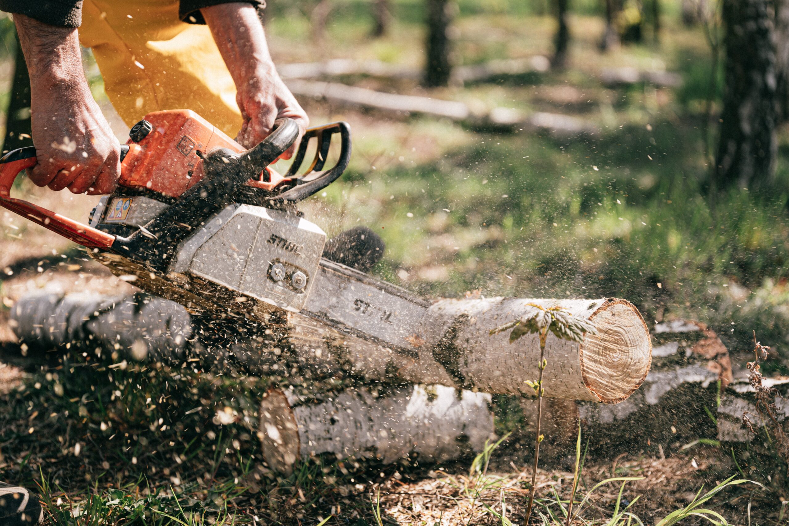 A beginner’s guide to mini chainsaw