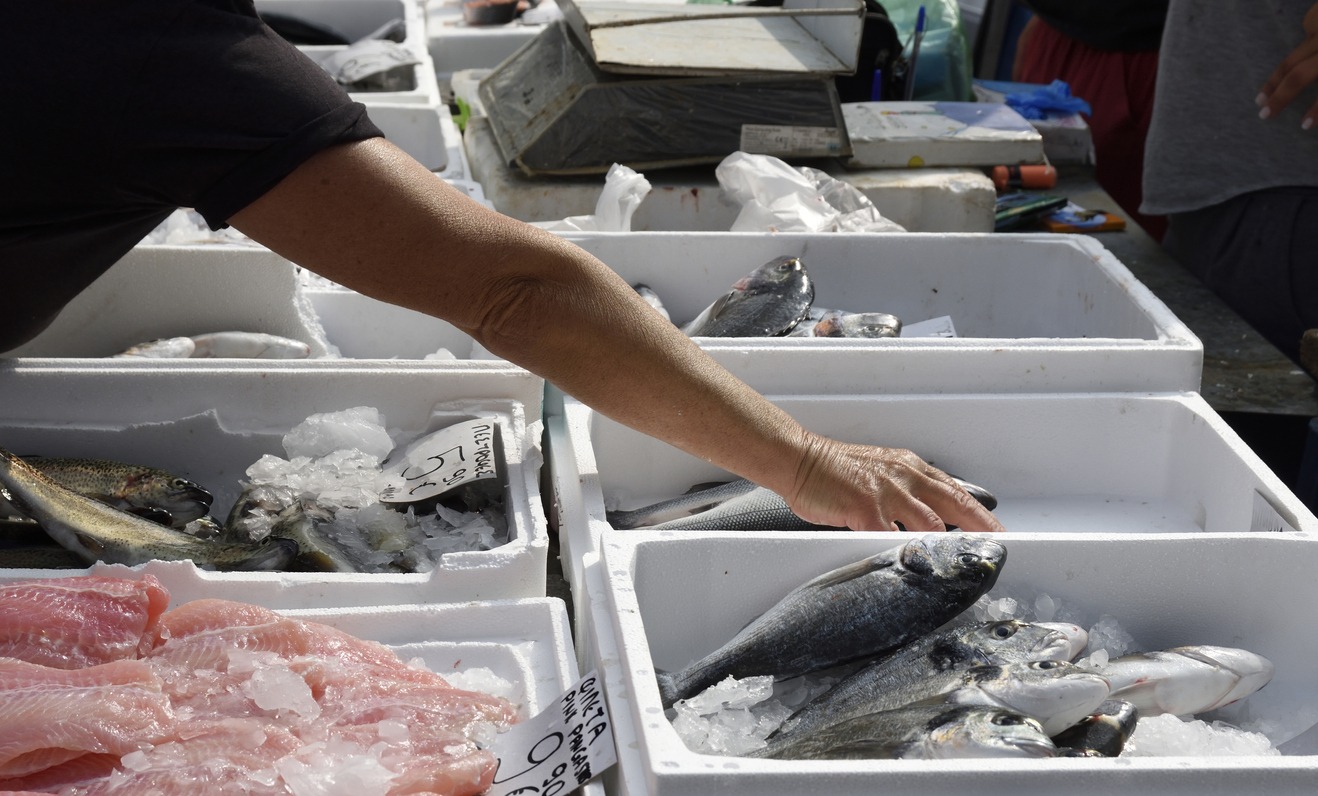 The Supplier's Secrets Unlocking the Freshest Catch with the Right Seafood Partner